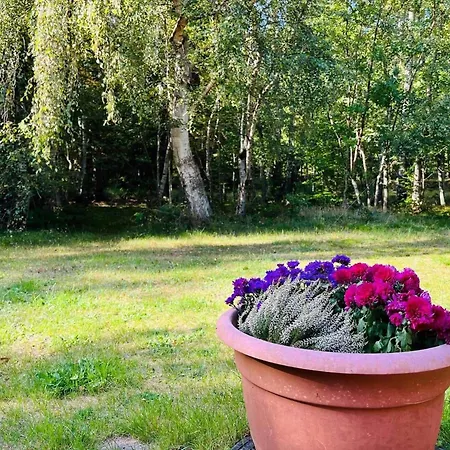 10065-1-nykobing-sj-gyvelvej-39 Сasa de vacaciones